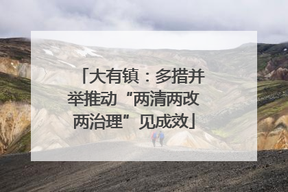 大有镇：多措并举推动“两清两改两治理”见成效
